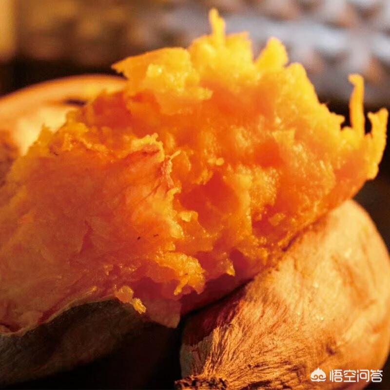 宁乡全网网络营销中心地址,养鸡该怎么选择鸡的品种?如何连续销售?