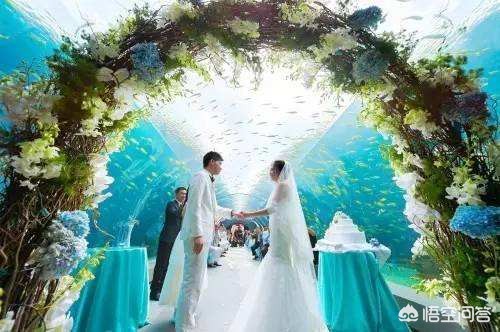 小度的海外生活，小度的海外生活app