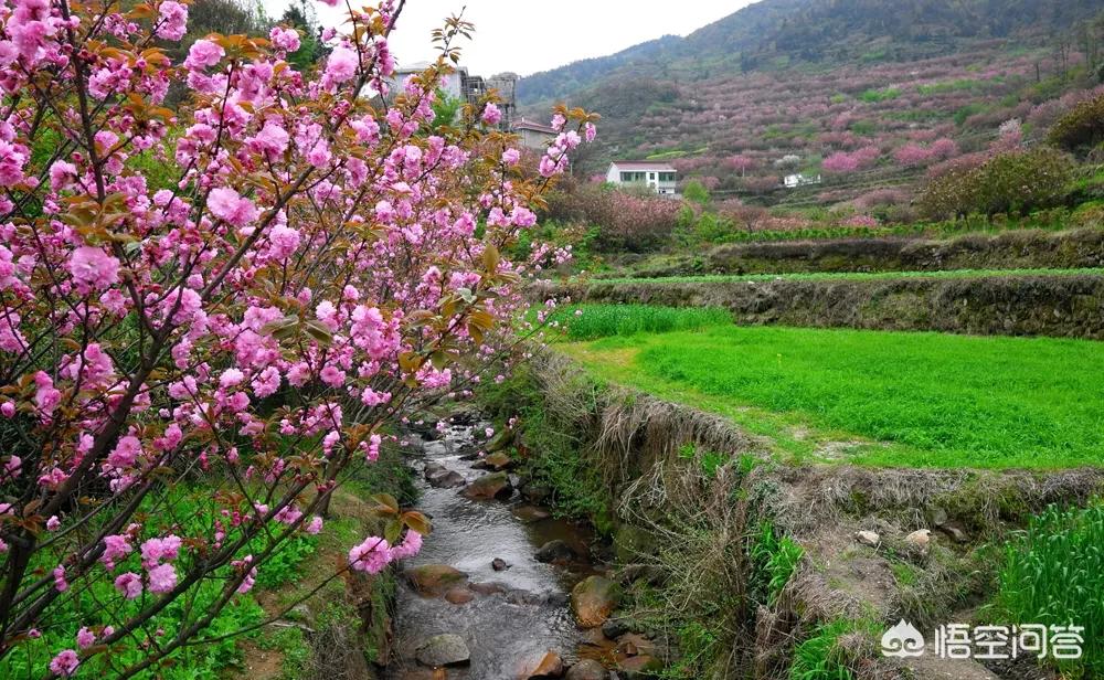 ,支持出售照片的网站哪个好?