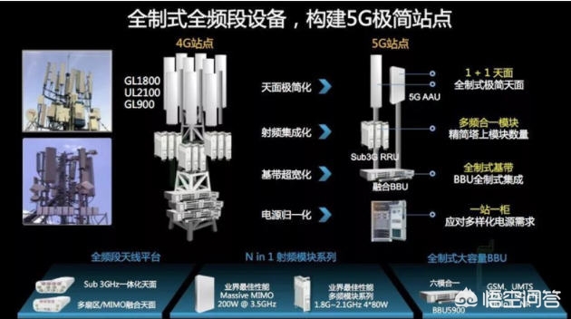 搭建网站市场规模