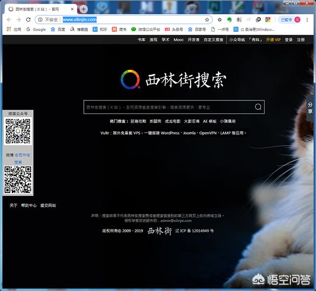 搭建网站 搜索引擎