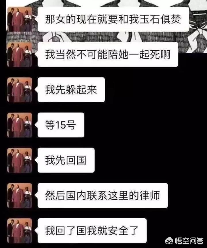 虐猫男留学被拒