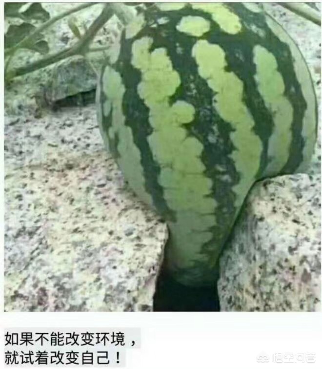谷歌被罚3.25亿欧元