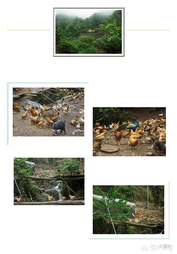 蛋花化妆技巧视频教学
