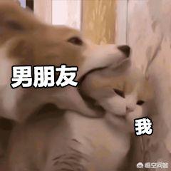 奇葩化妆技巧腮红视频
