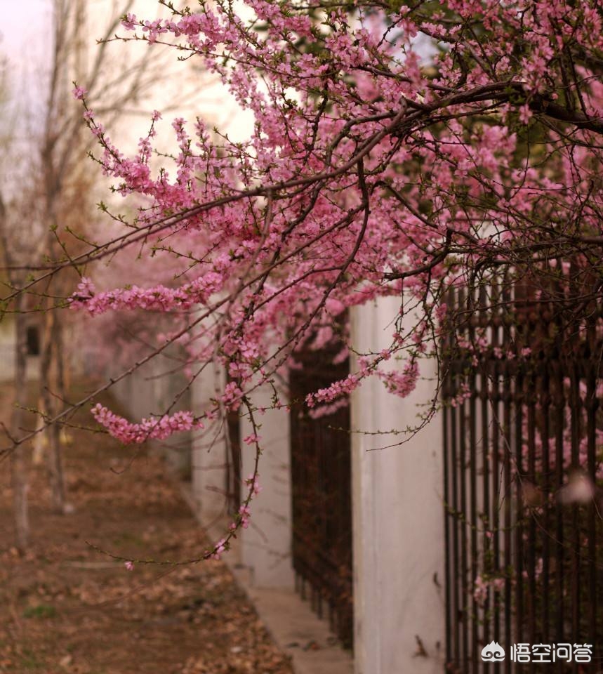 关不住(关不住的意思?) 关不住(关不住的意思?)