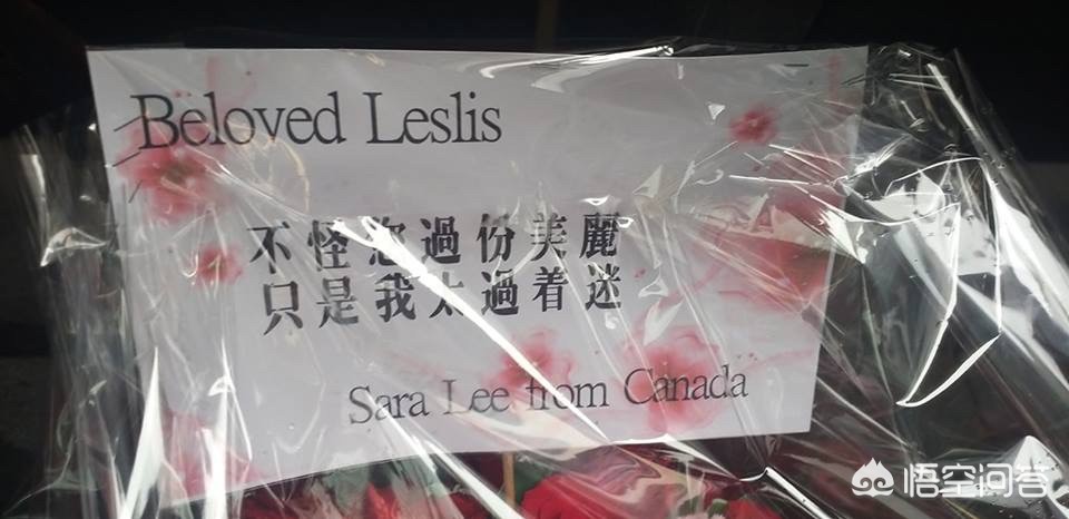 谭咏麟歌迷海外生活视频，谭咏麟歌迷海外生活视频播放