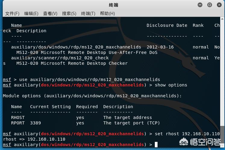 kali linux怎么搭建网站