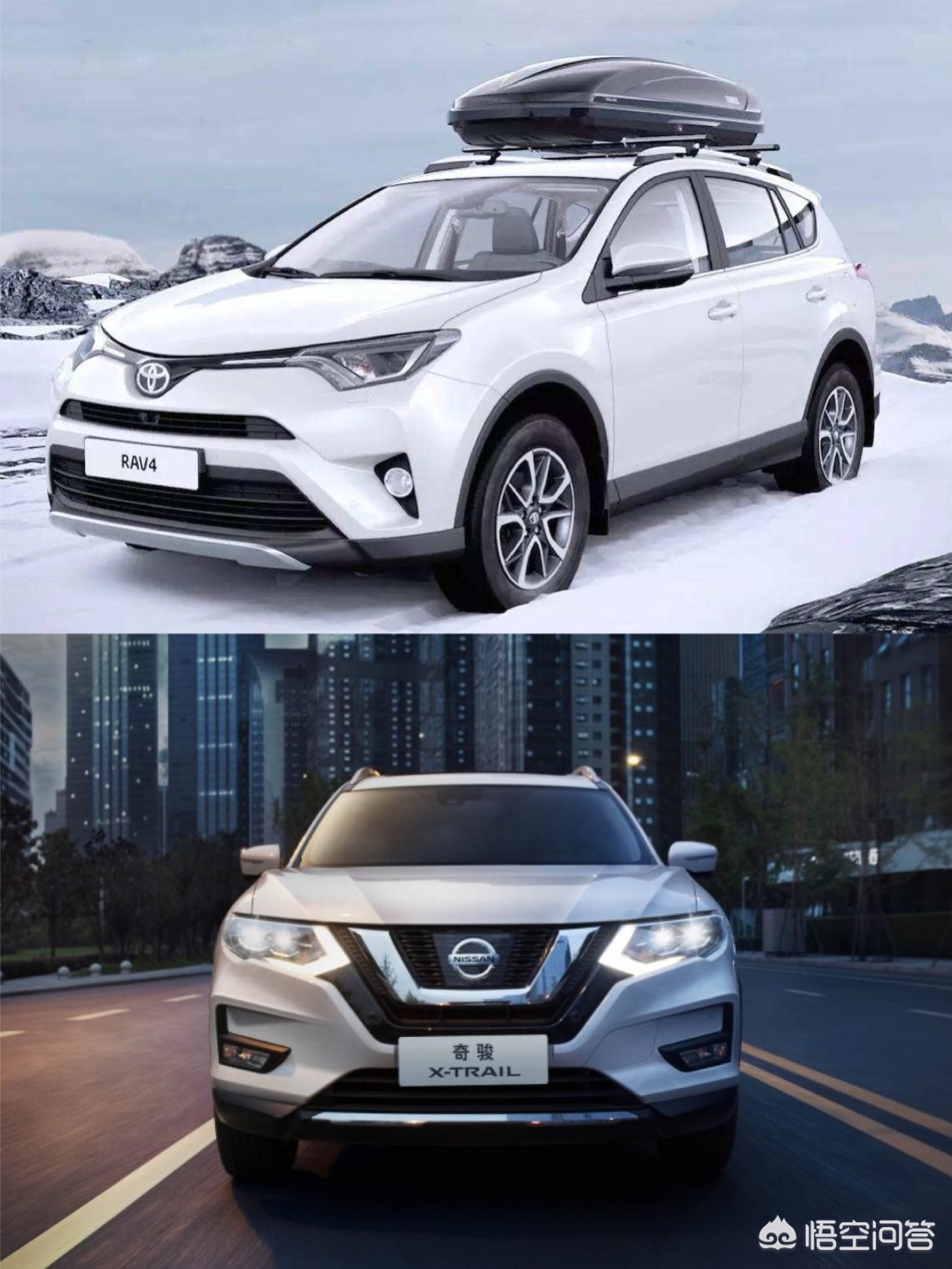 2019款丰田rav4