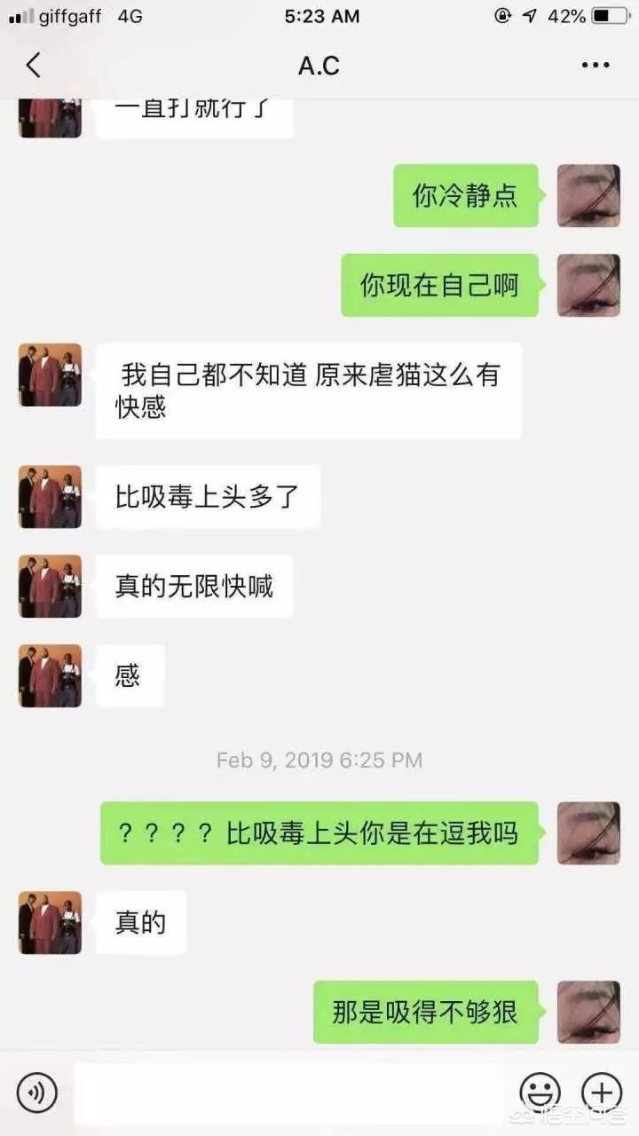 虐猫男留学被拒