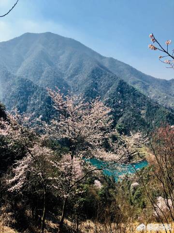 杭州有哪些樱花景点和桃花景点呢？哪些地方最值得去玩？