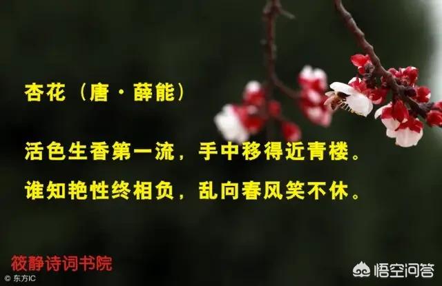 关不住(关不住的意思?) 关不住(关不住的意思?)