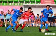广州市适合种什么桃树呢