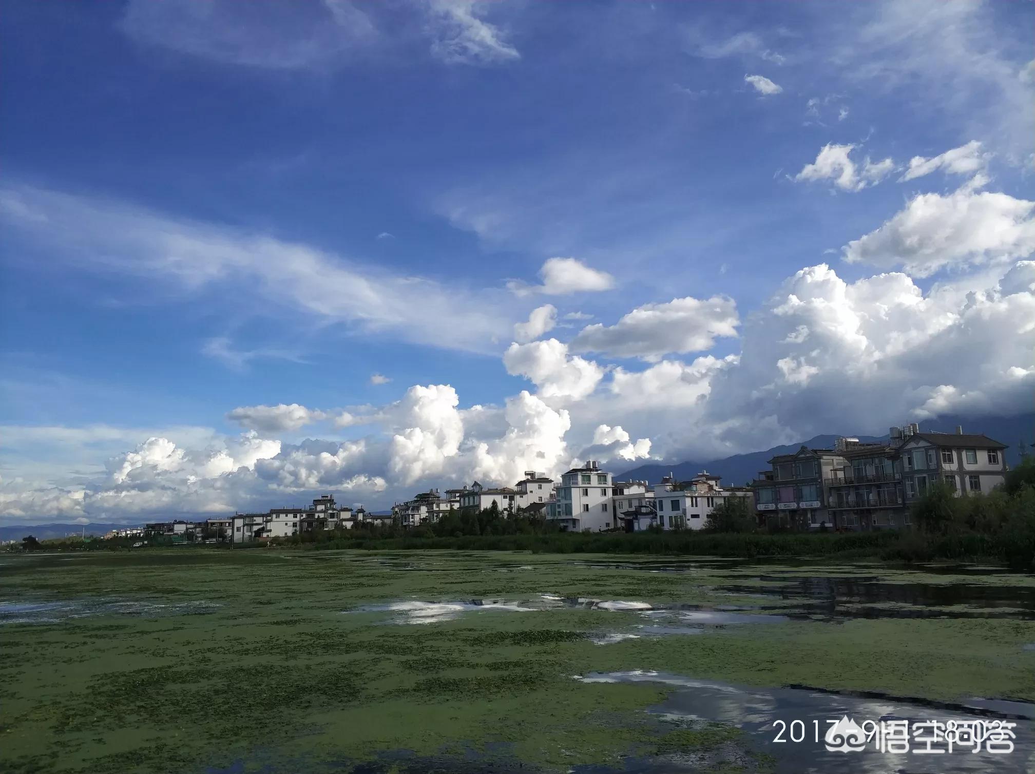 租车app开发计划