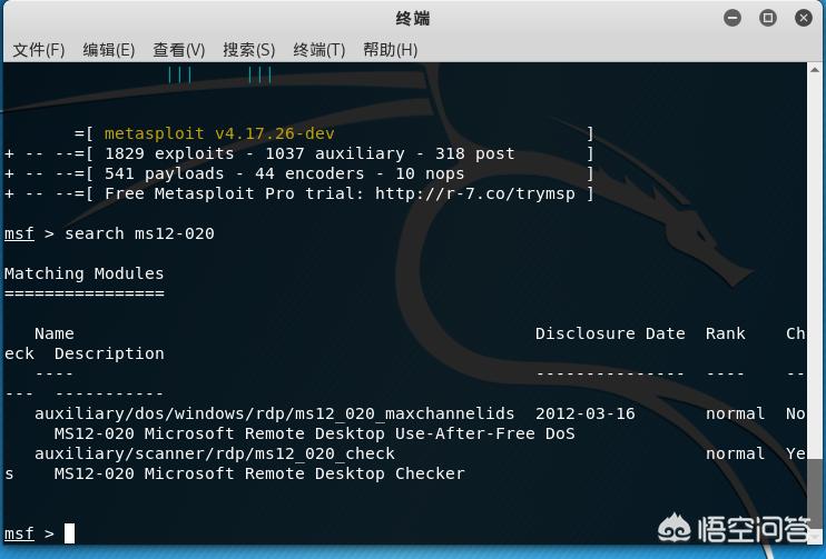 kali linux怎么搭建网站