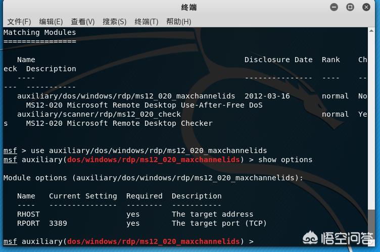 kali linux怎么搭建网站