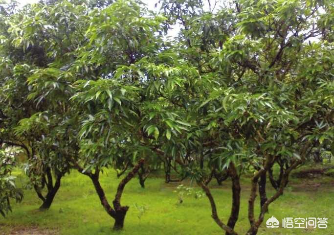 兰州周边哪里比较适合带孩子出去玩？