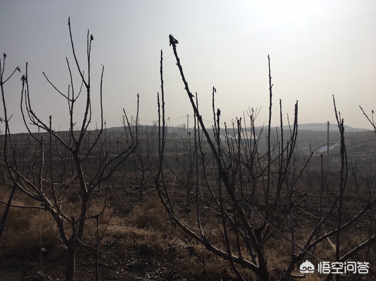大连市什么房源不能买