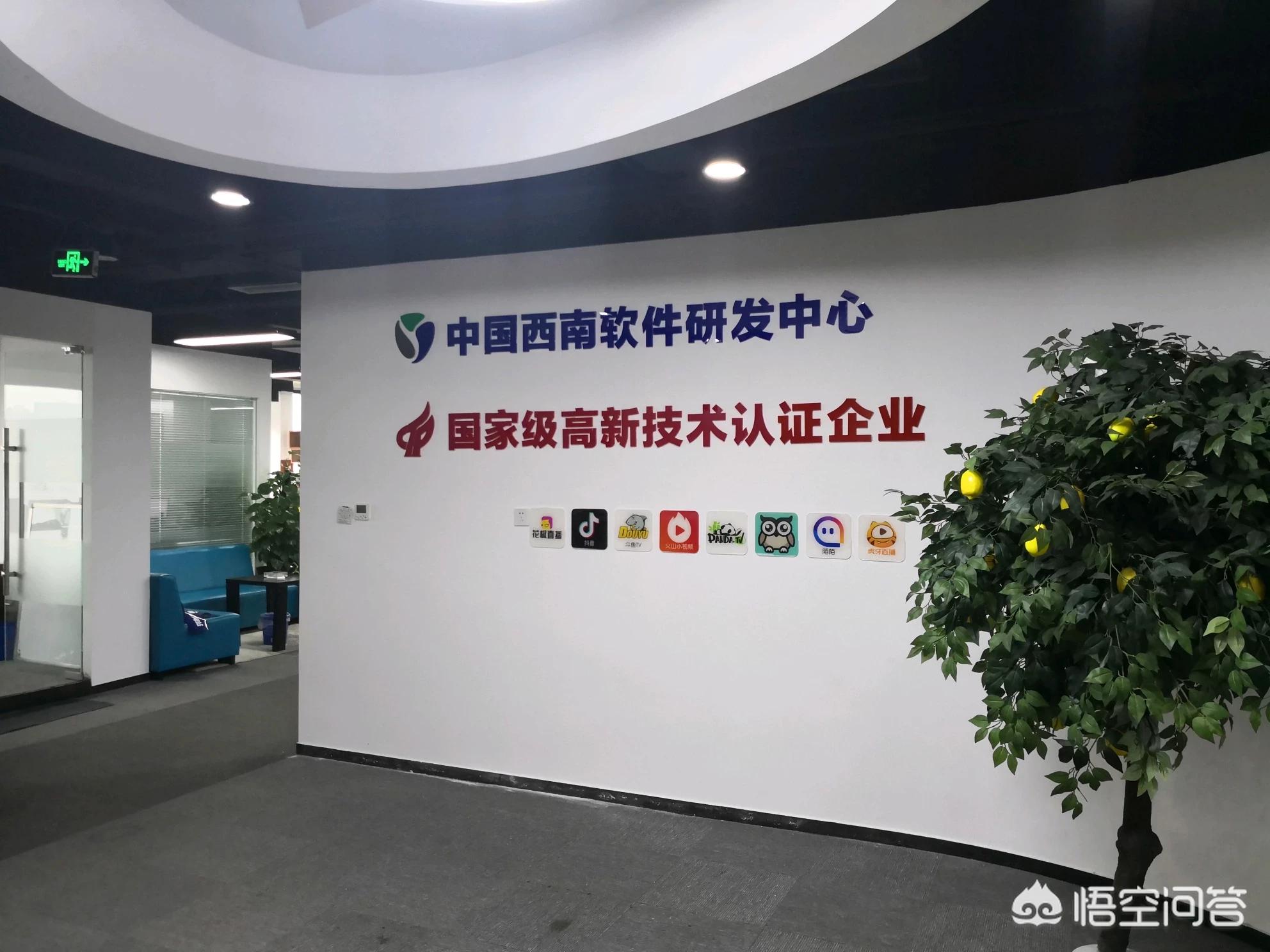 基于app的移动开发