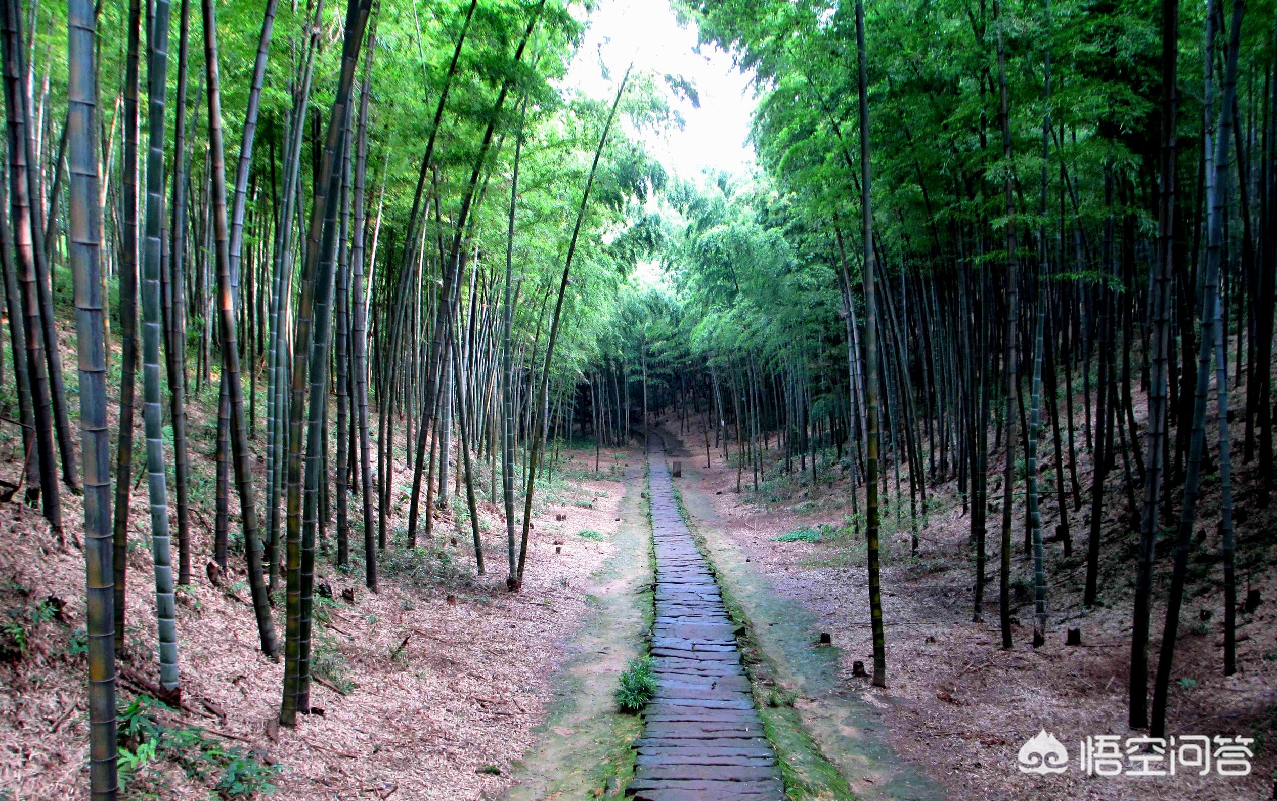 景区导览图(景区导览图的作用?) 景区导览图(景区导览图的作用?)