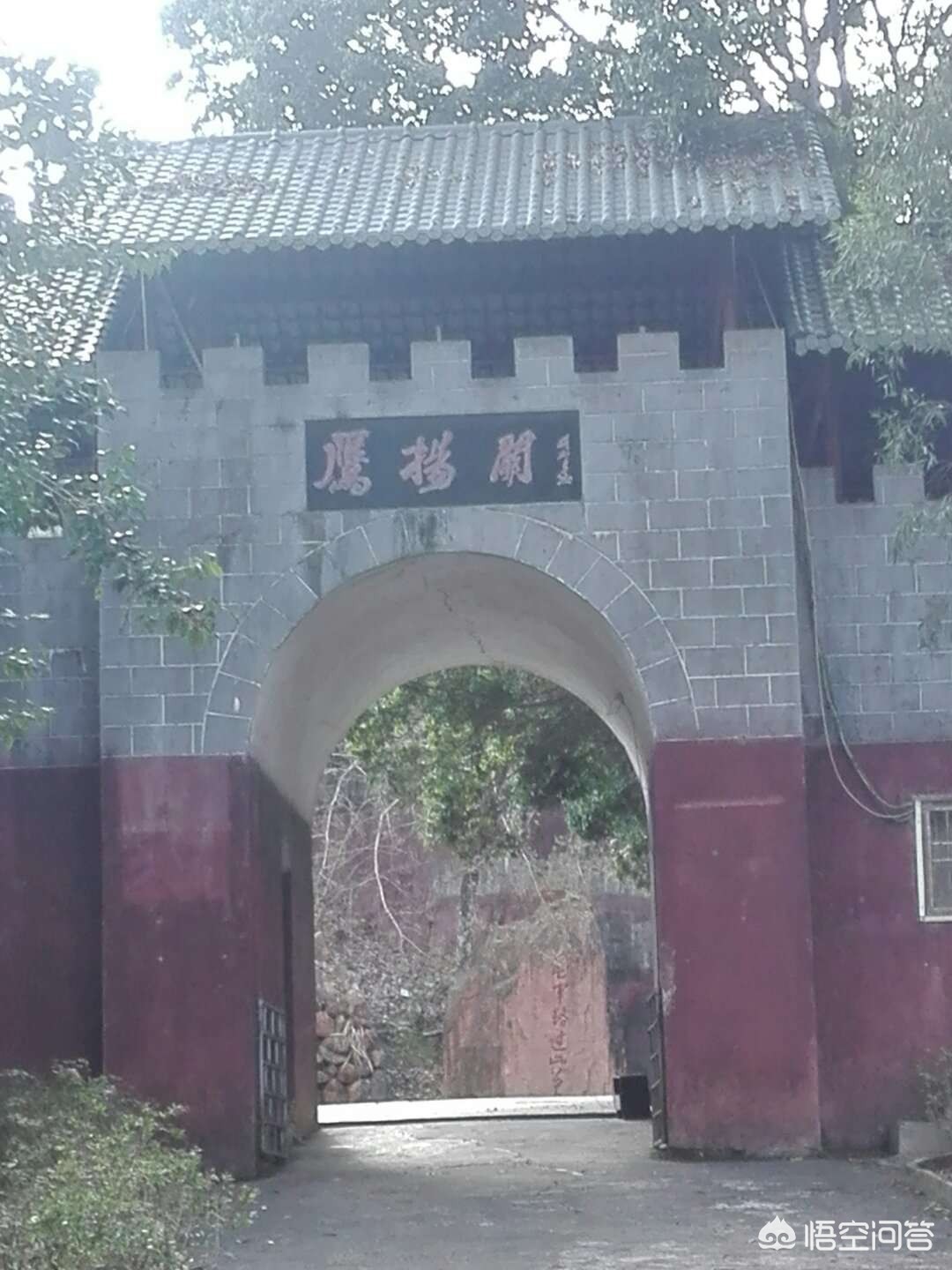 网络营销图片,沙糖桔的网络销售方式