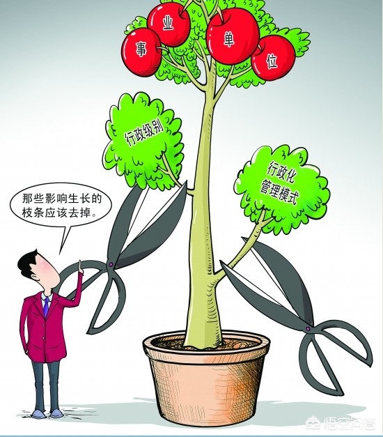 武汉市信访局受理什么