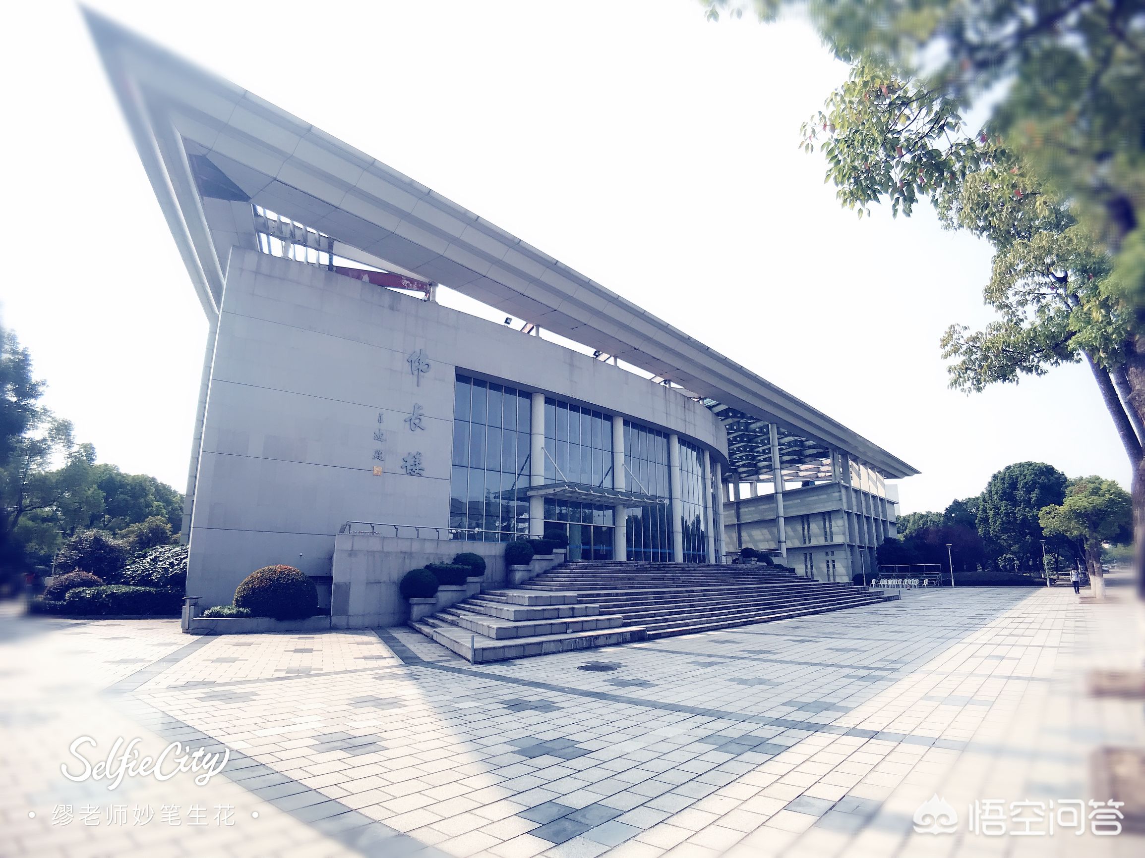 大连市与重庆市哪个好