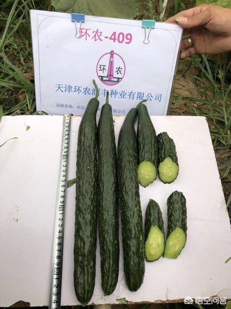 南通市附近哪里有西瓜园