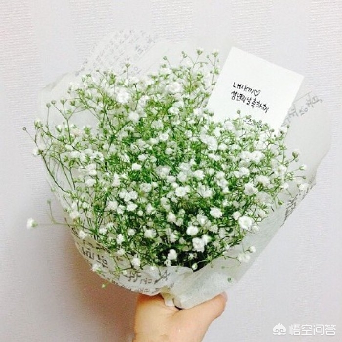 女孩喜欢什么女孩喜欢什么礼物 女孩喜欢什么女孩喜欢什么礼物