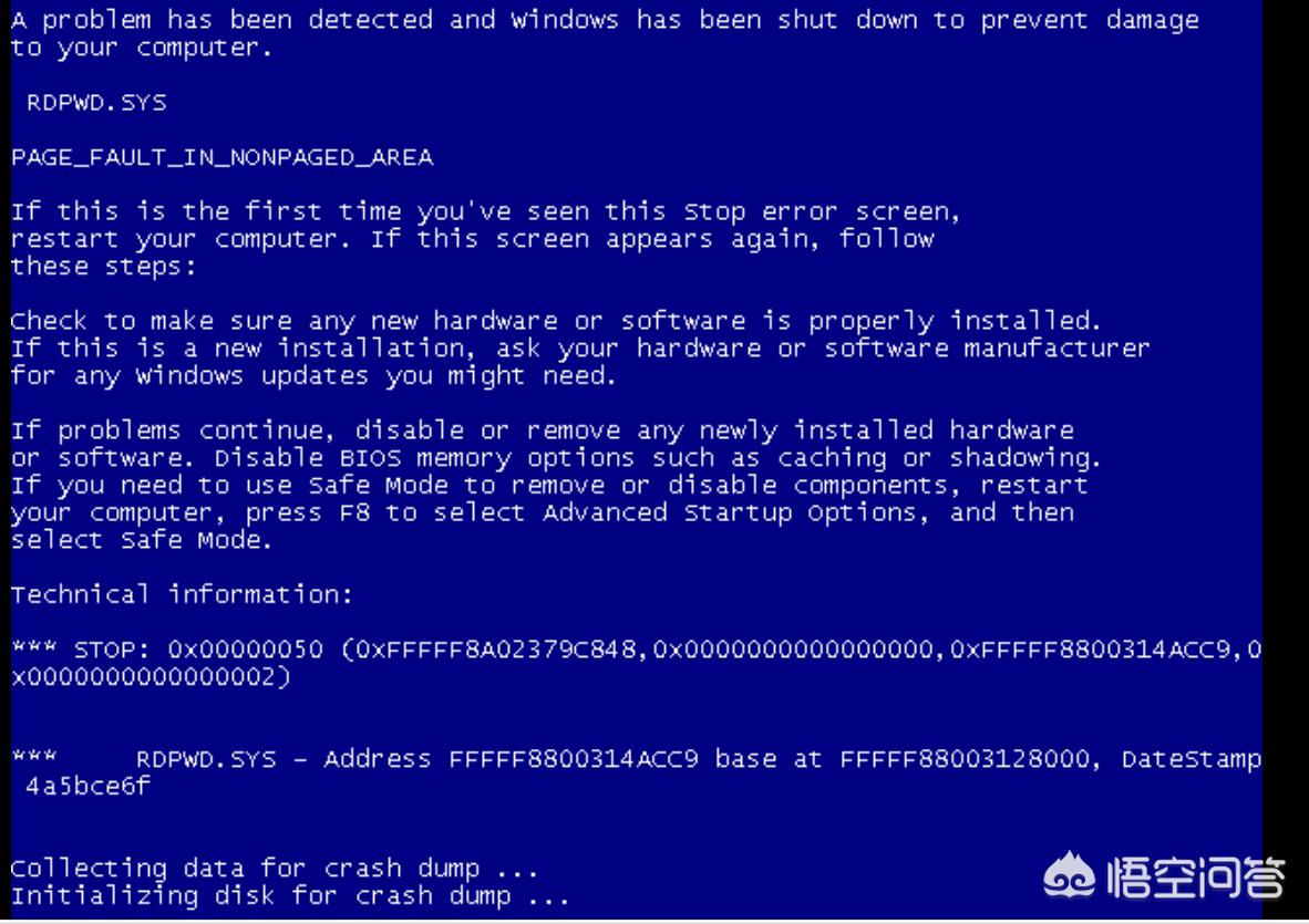 kali linux怎么搭建网站