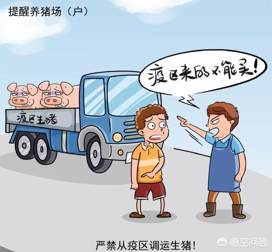微汽车报价,微汽车报价5万以下