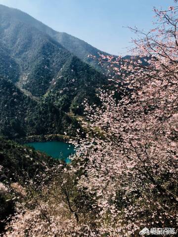 杭州有哪些樱花景点和桃花景点呢？哪些地方最值得去玩？