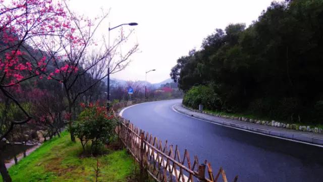 鼓浪屿婚纱摄影价格，鼓浪屿婚纱摄影价格表