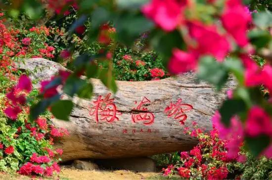 鼓浪屿婚纱摄影价格，鼓浪屿婚纱摄影价格表
