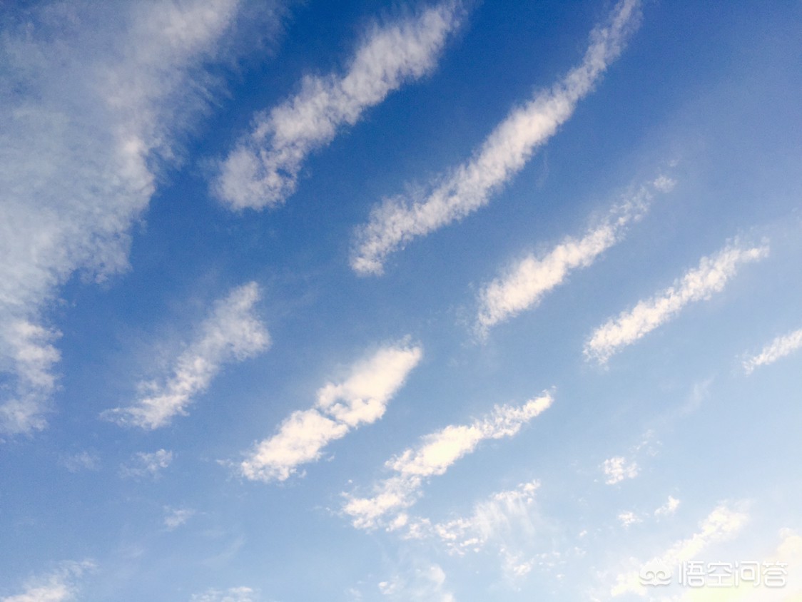 野餐后不带走垃圾