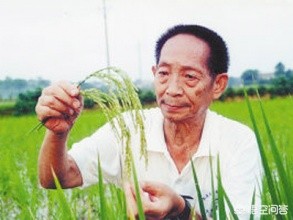 袁隆平汽车报价,袁隆平开的轿车多少钱