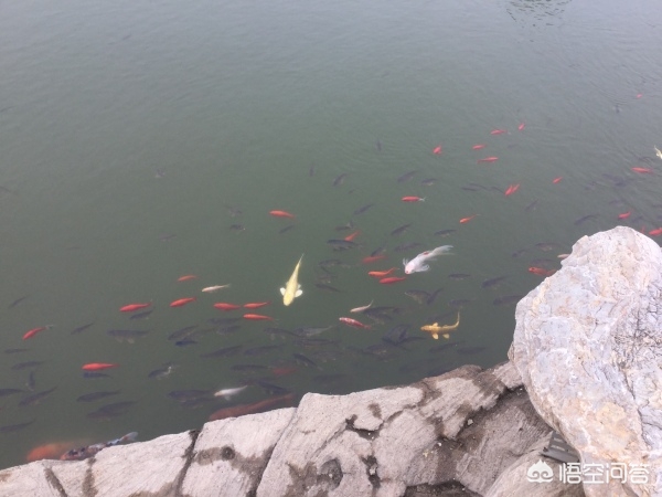 大连市有什么景点值得去
