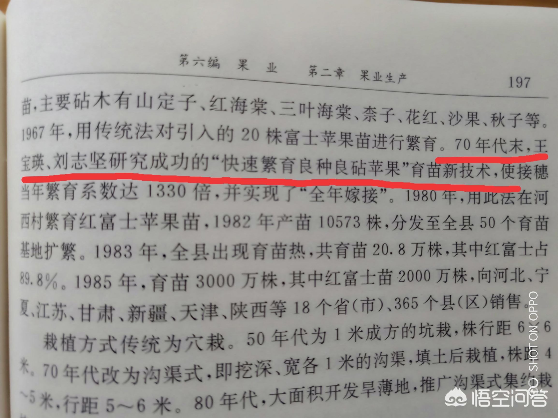 山东苹果app开发公司
