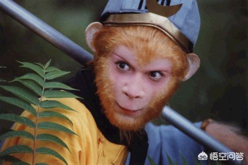 猴子照片猴子照片高清图片大全 猴子照片猴子照片高清图片大全