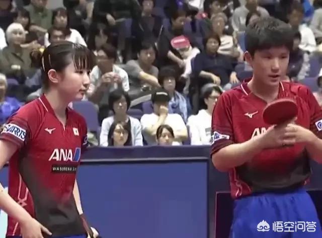 张本智和脱衣庆祝（张本智和家世背景？）