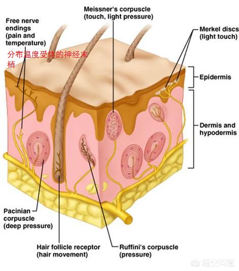 无法触碰的掌心晴人三种结局？：无法触碰的掌心