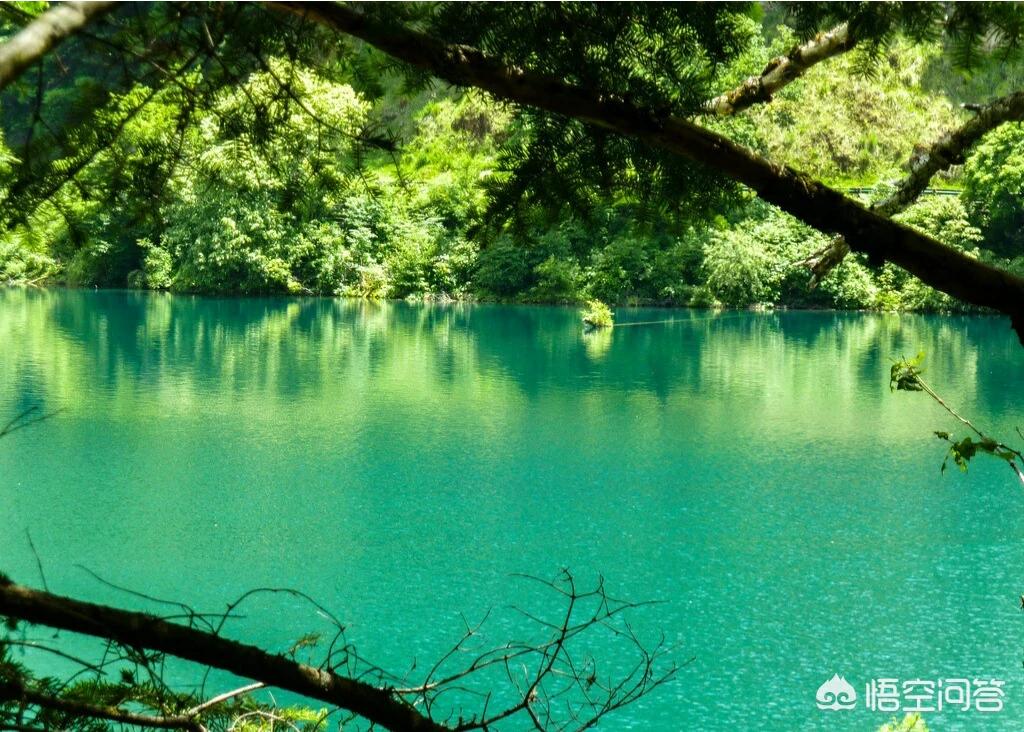 河南哪个地方潮湿厉害