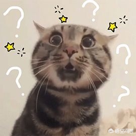 海外生活挣钱买美食，海外卖什么好