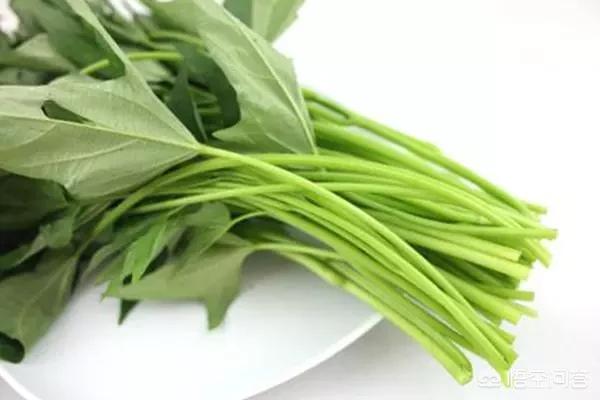 红薯叶一斤卖300