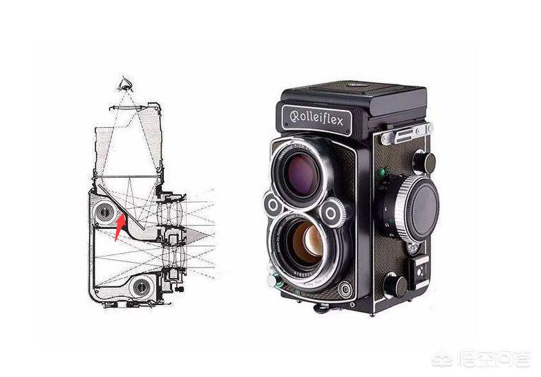 照相机（二手相机主要用来日常拍照和游玩拍照。预算2000左右。最好全画幅，有什么推荐吗？）