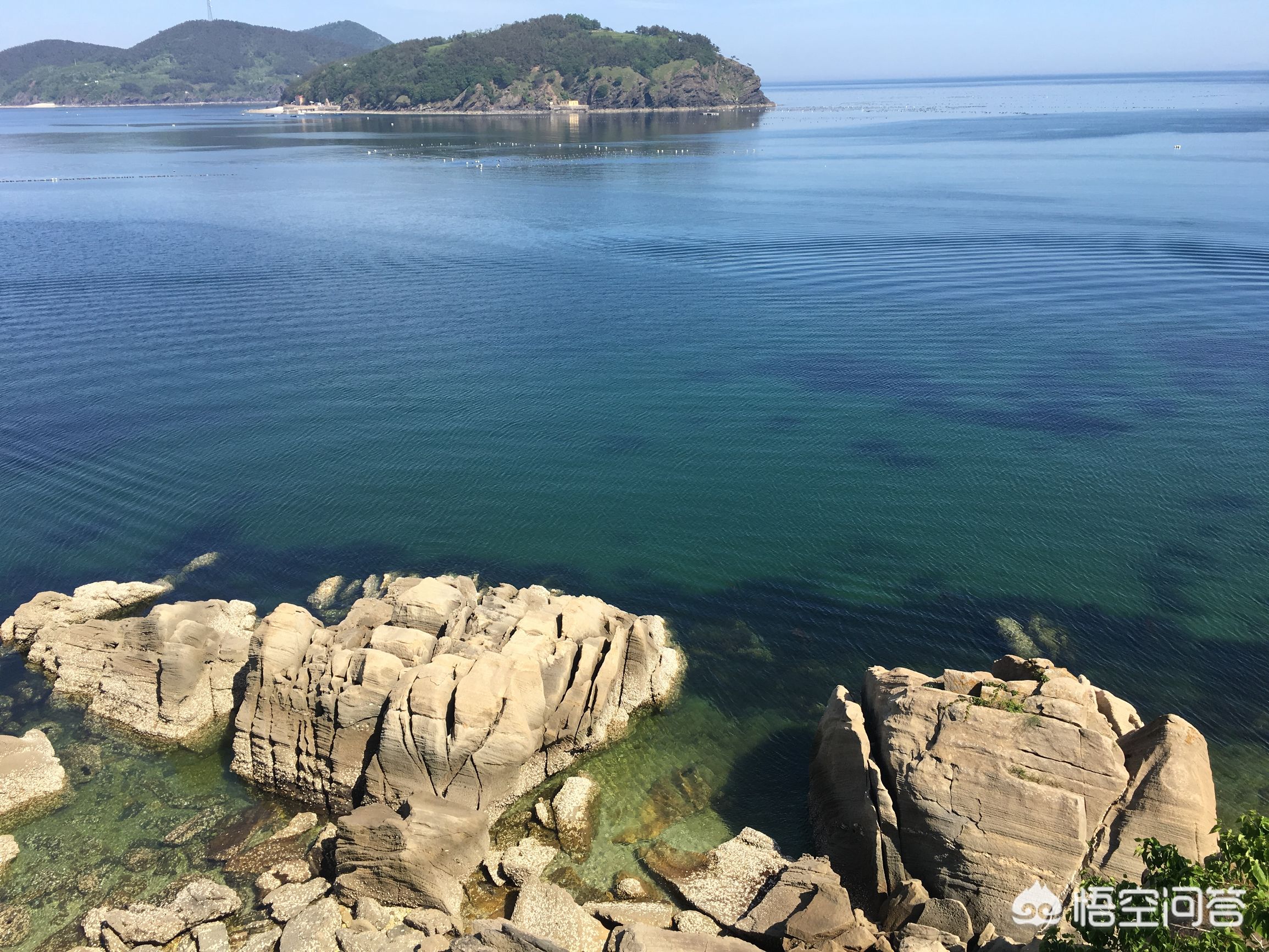 大连市哪个岛最好 大连市哪个岛最好