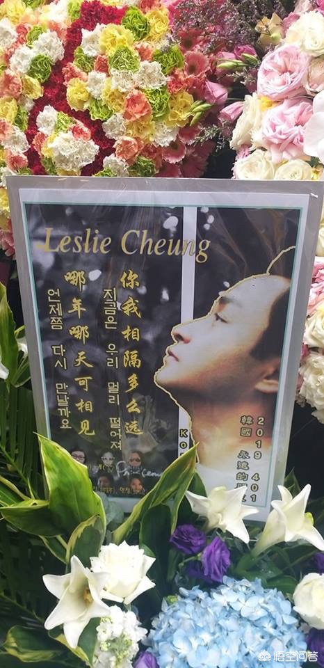 谭咏麟歌迷海外生活视频，谭咏麟歌迷海外生活视频播放