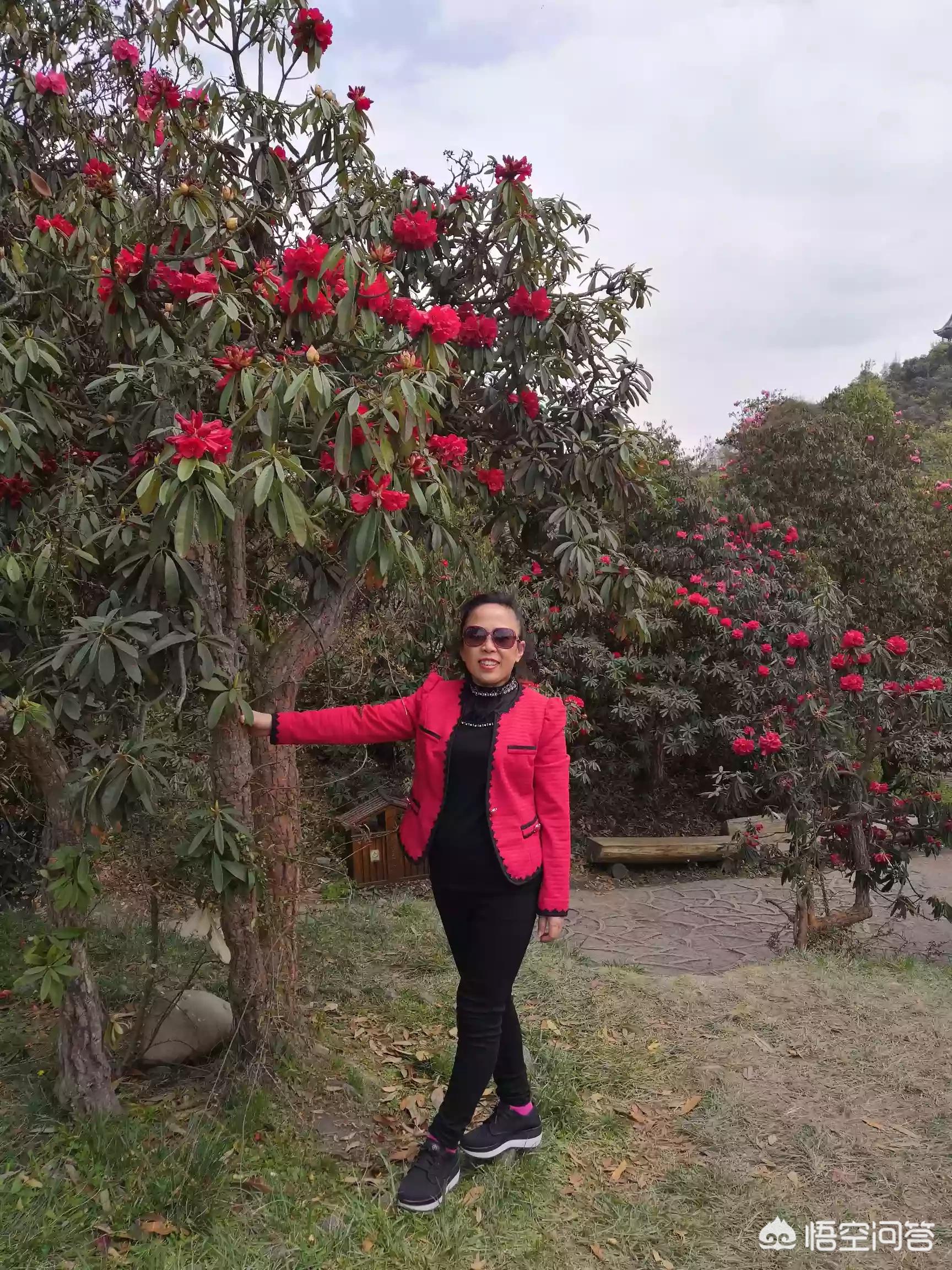 旅游平台免费退改旅游退订政策