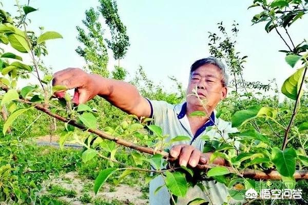 各品牌库存汽车报价图片,各品牌的车的图片和价格