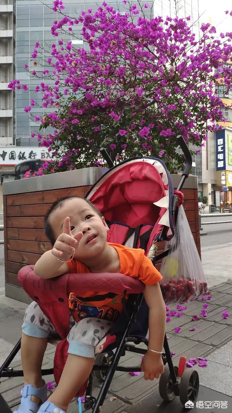 江苏福建哪个地方好玩